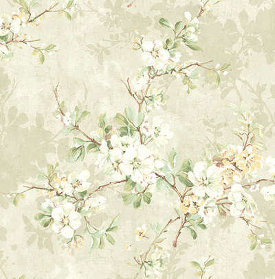 KT Exclusive Vintage Style VF 20705