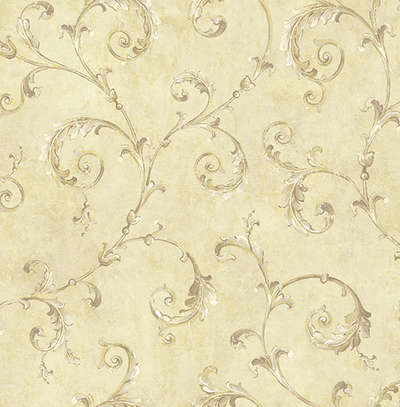 KT Exclusive Vintage Style VF 21501