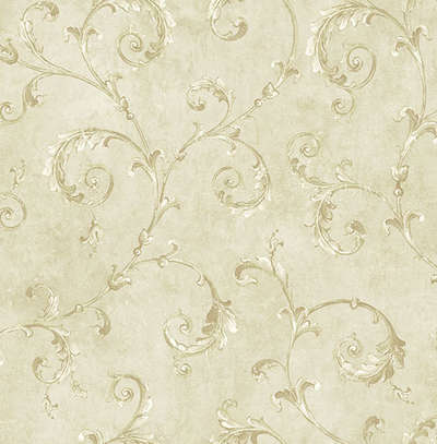 KT Exclusive Vintage Style VF 21505