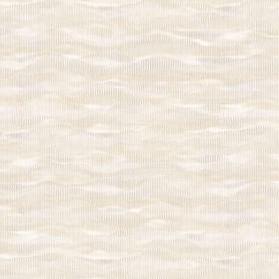 A.Grifoni Palazzo Ragione 7021-1