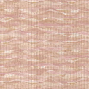 A.Grifoni Palazzo Ragione 7021-4