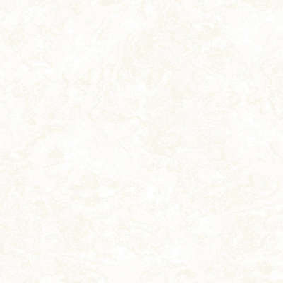 A.Grifoni Palazzo Ragione 7025-2