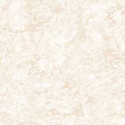 A.Grifoni Palazzo Ragione 7025-3