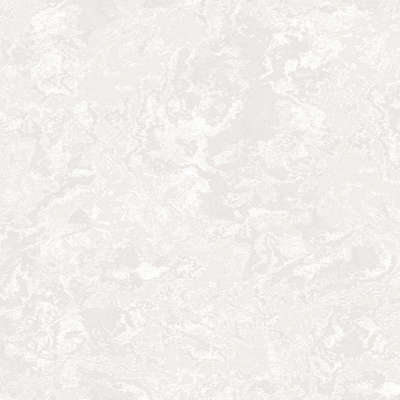 A.Grifoni Palazzo Ragione 7025-4