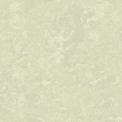 A.Grifoni Palazzo Ragione 7025-6