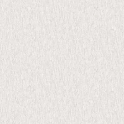 A.Grifoni Palazzo Ragione 7026-1