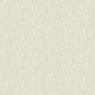 A.Grifoni Palazzo Ragione 7026-2