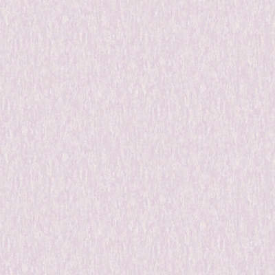 A.Grifoni Palazzo Ragione 7026-3