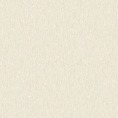 A.Grifoni Palazzo Ragione 7026-5