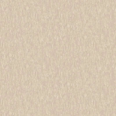 A.Grifoni Palazzo Ragione 7026-6