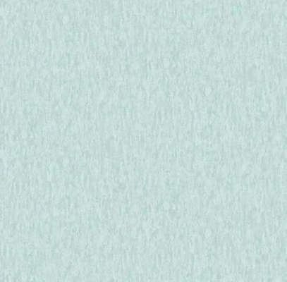 A.Grifoni Palazzo Ragione 7026-7