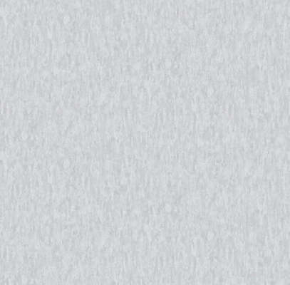 A.Grifoni Palazzo Ragione 7026-8