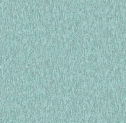 A.Grifoni Palazzo Ragione 7026-9