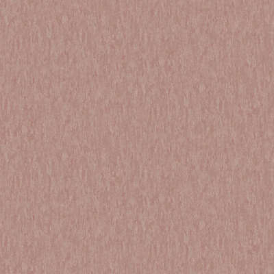 A.Grifoni Palazzo Ragione 7026-10