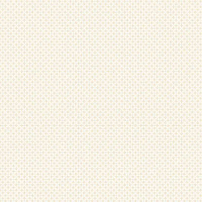 A.Grifoni Palazzo Ragione 7027-2