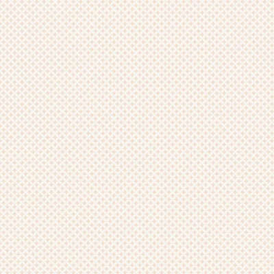 A.Grifoni Palazzo Ragione 7027-3