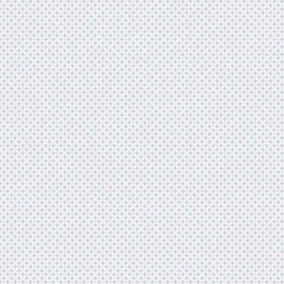 A.Grifoni Palazzo Ragione 7027-4