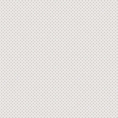 A.Grifoni Palazzo Ragione 7027-5