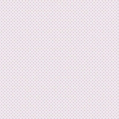 A.Grifoni Palazzo Ragione 7027-6