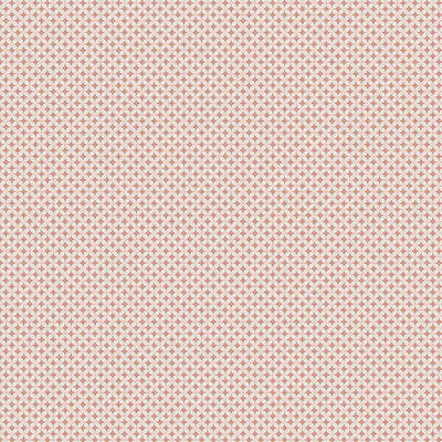 A.Grifoni Palazzo Ragione 7027-8