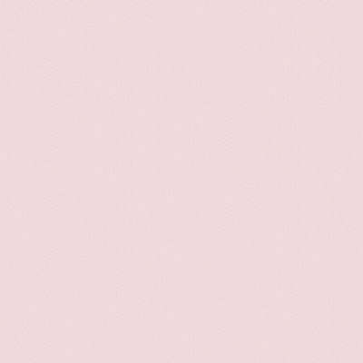 A.Grifoni Palazzo Ragione 7028-4