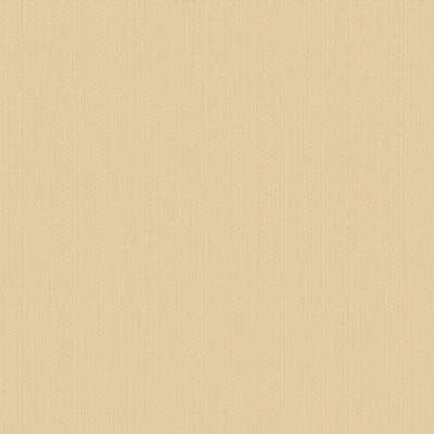 A.Grifoni Palazzo Ragione 7028-6