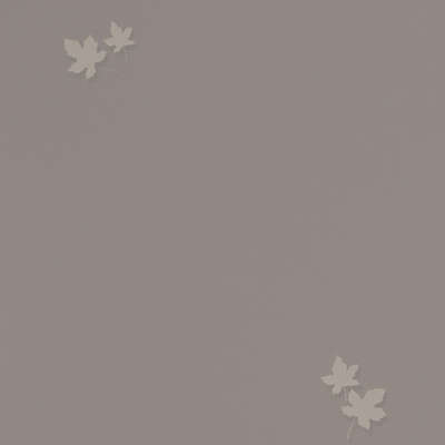Andrea Rossi Spectrum Pro 54384-6