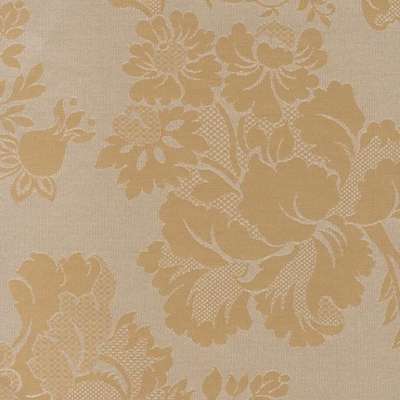 Arlin Elegance 25 EGN-F