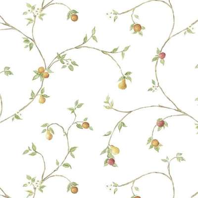 Aura Creative Kitchens CK36607