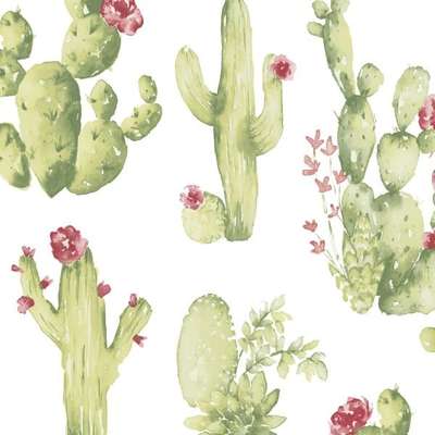 Aura Creative Kitchens CK36630