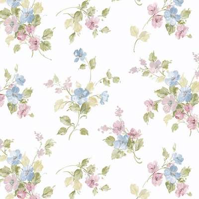 Aura Cute PF38101