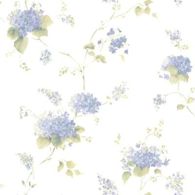 Aura Cute PF38108