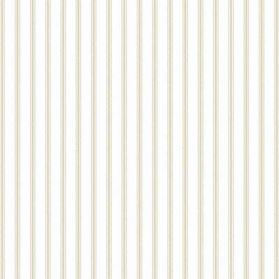 Aura Cute PF38144