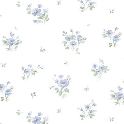 Aura Cute PF38159