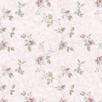 Aura Cute PF38176