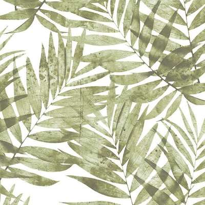 Aura Organic Textures G67944