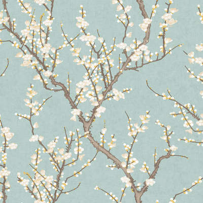 Aura Spring 1903-1