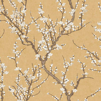 Aura Spring 1903-2