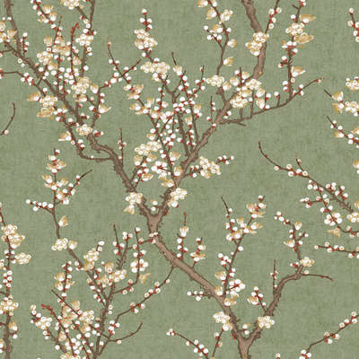 Aura Spring 1903-4