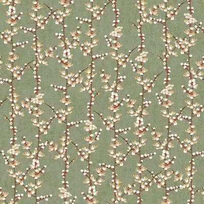 Aura Spring 1904-4