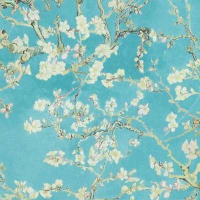 BN Van Gogh 2 17140