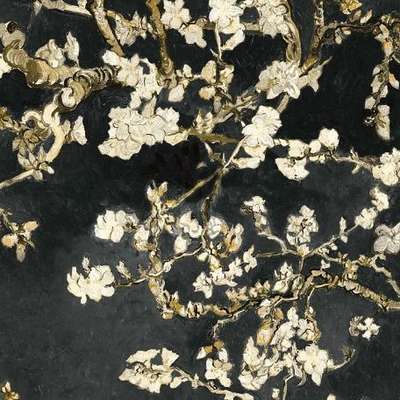 BN Van Gogh 2 17145