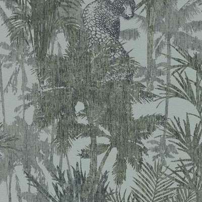 BN Panthera 220103