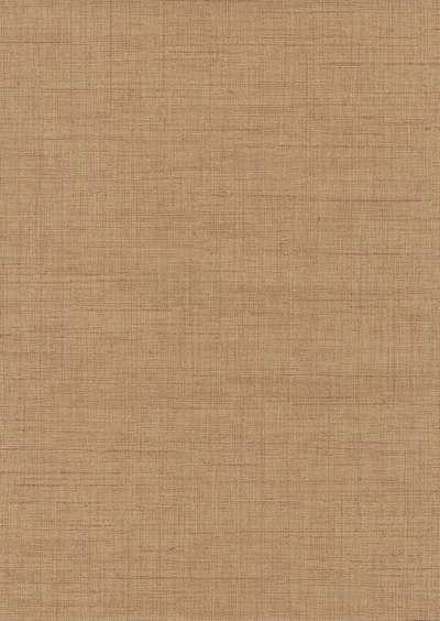 Calcutta Castilla 517038