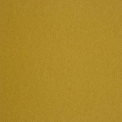 Casadeco Edison Uni 2496 21 03 EDN