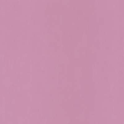 Caselio Pretty Lili 66325302