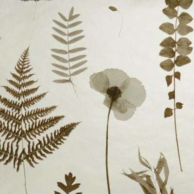 Clarke&Clarke Botanica  W0091-02