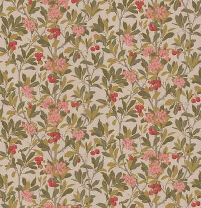 Cole&Son Archive Anthology 100/10047