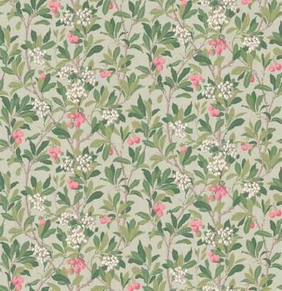 Cole&Son Archive Anthology 100/10048
