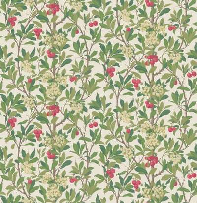 Cole&Son Archive Anthology 100/10049